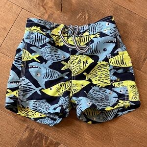 Carter's Blue and Green Patterned Swim Shorts